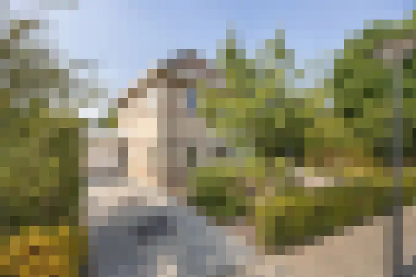 Wielerbaan 17 Oudenbosch thumbnail 57