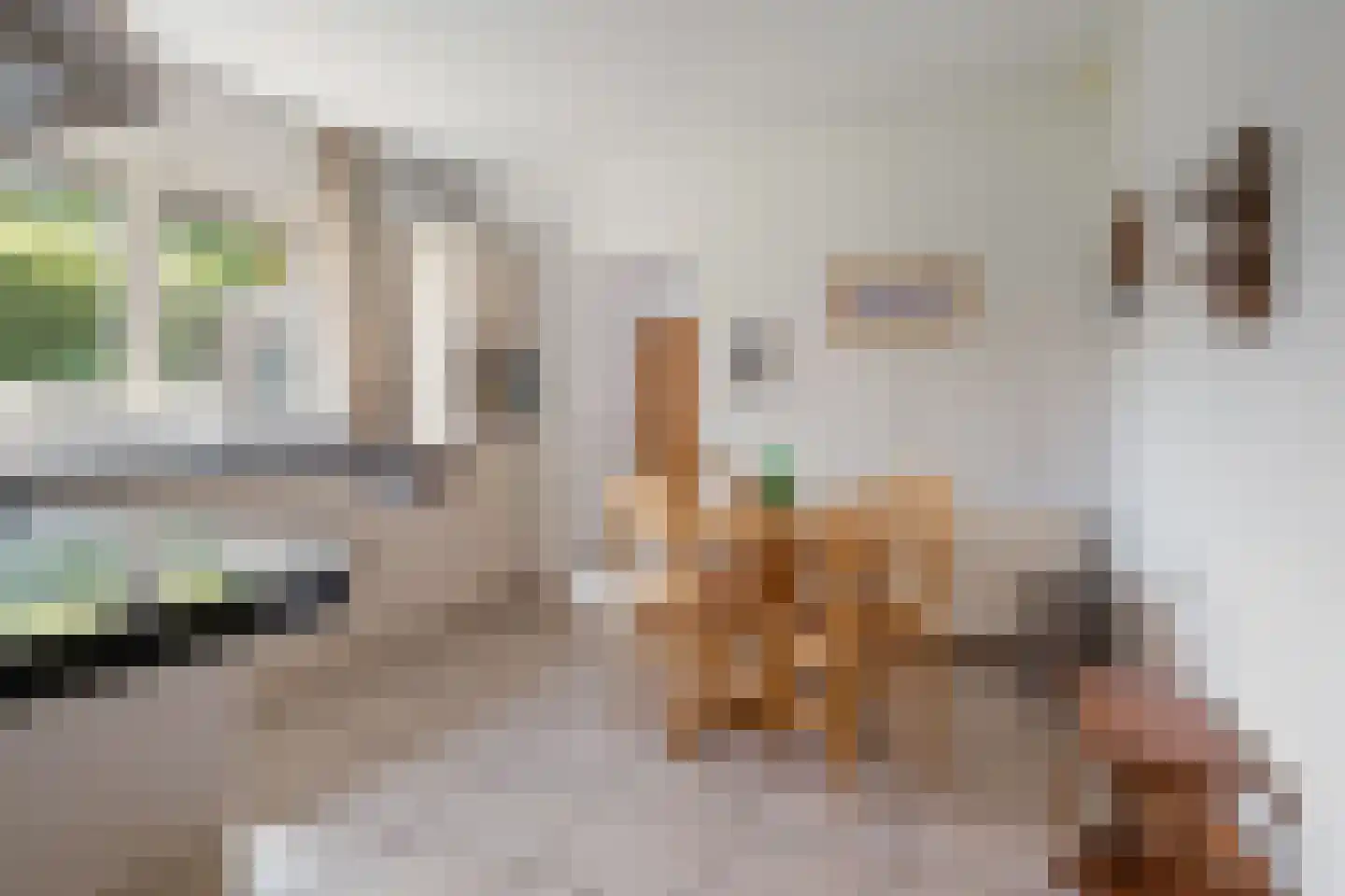 Wielerbaan 18 Oudenbosch thumbnail 11