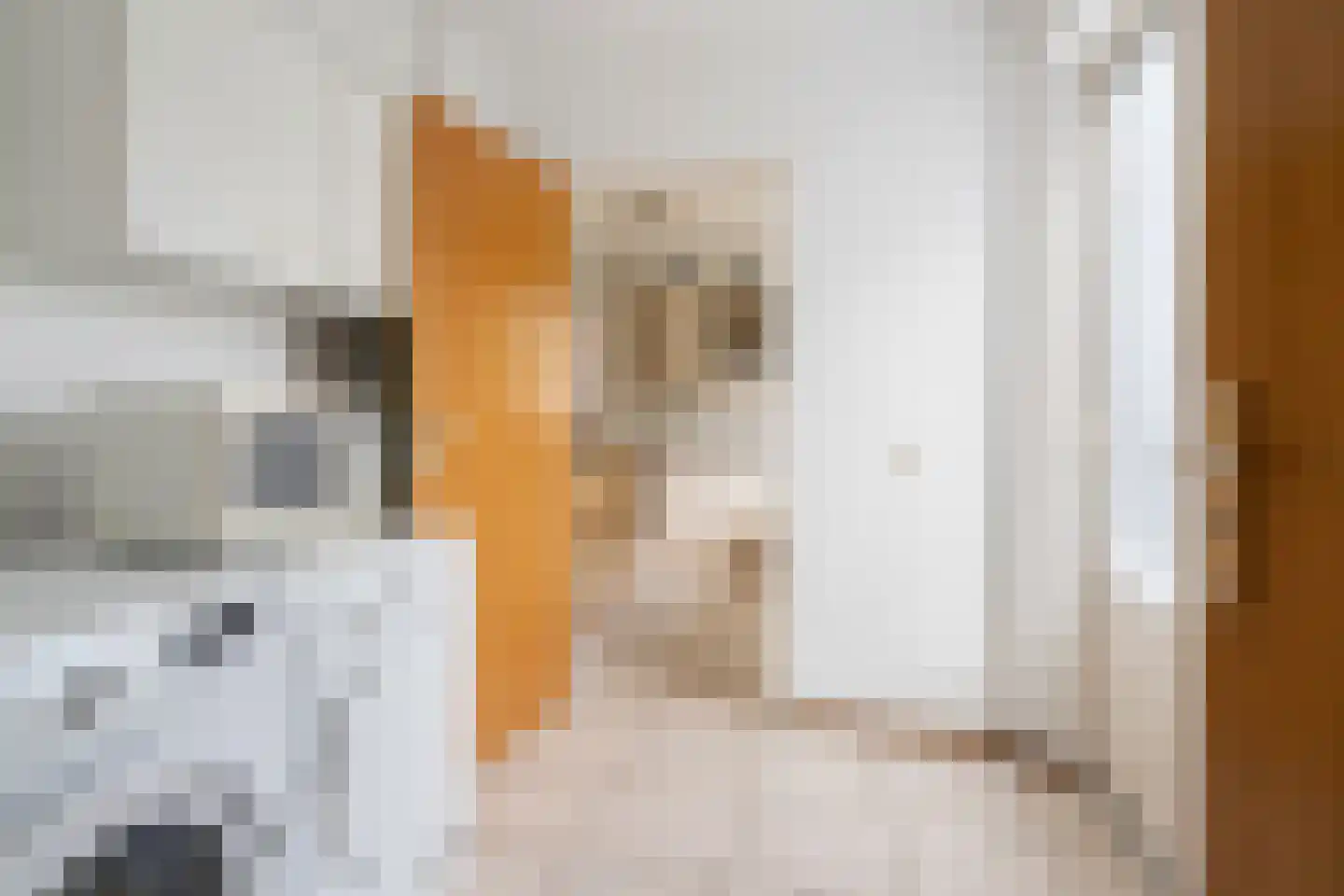 Wielerbaan 18 Oudenbosch thumbnail 12