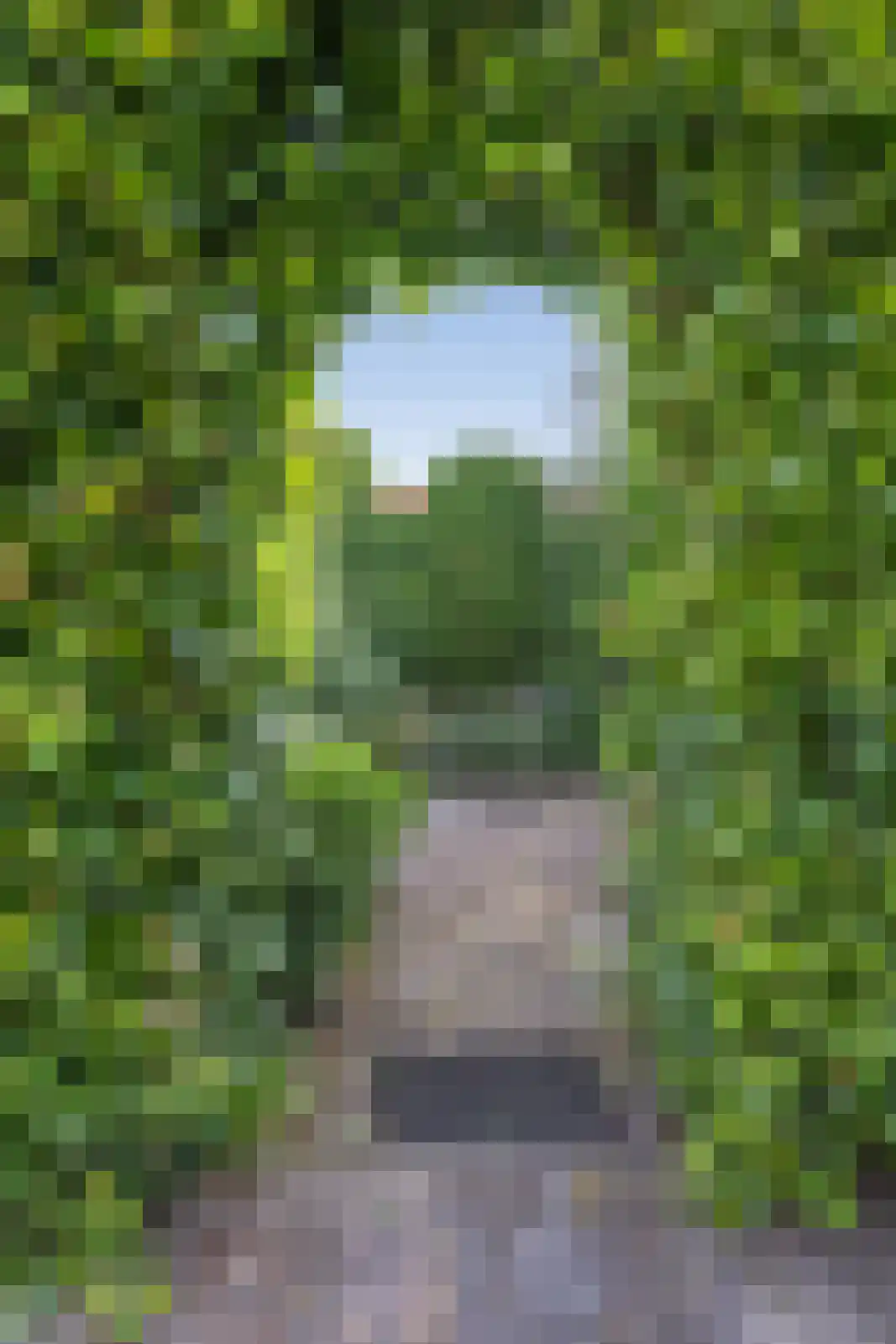 Wielerbaan 18 Oudenbosch thumbnail 25