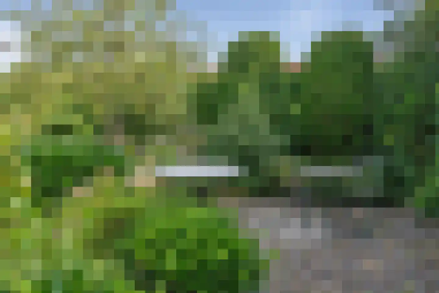 Wielerbaan 18 Oudenbosch thumbnail 26