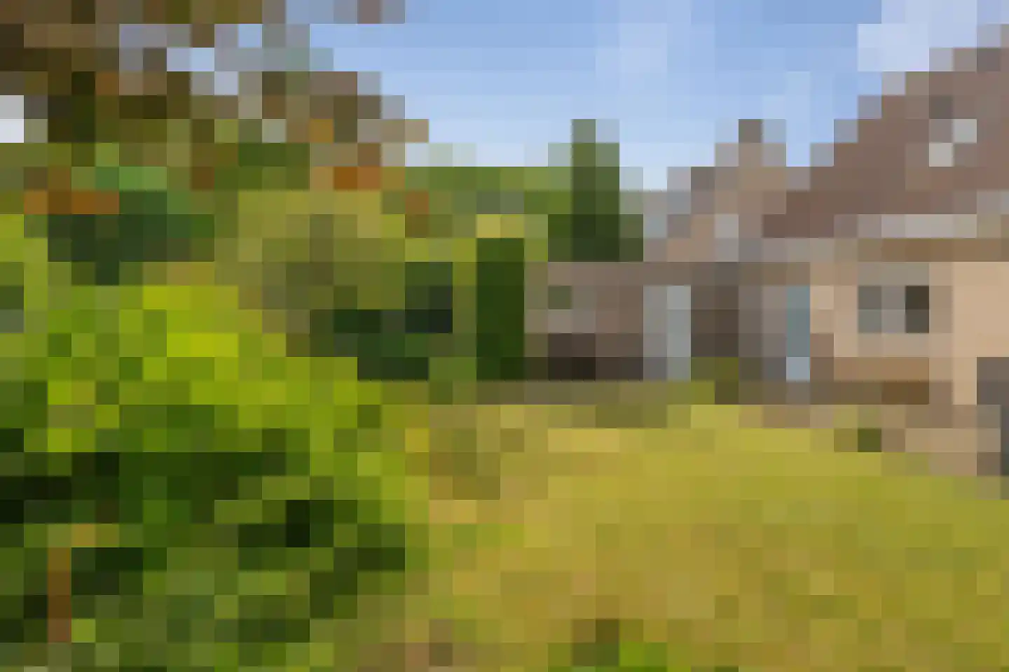 Wielerbaan 18 Oudenbosch thumbnail 29