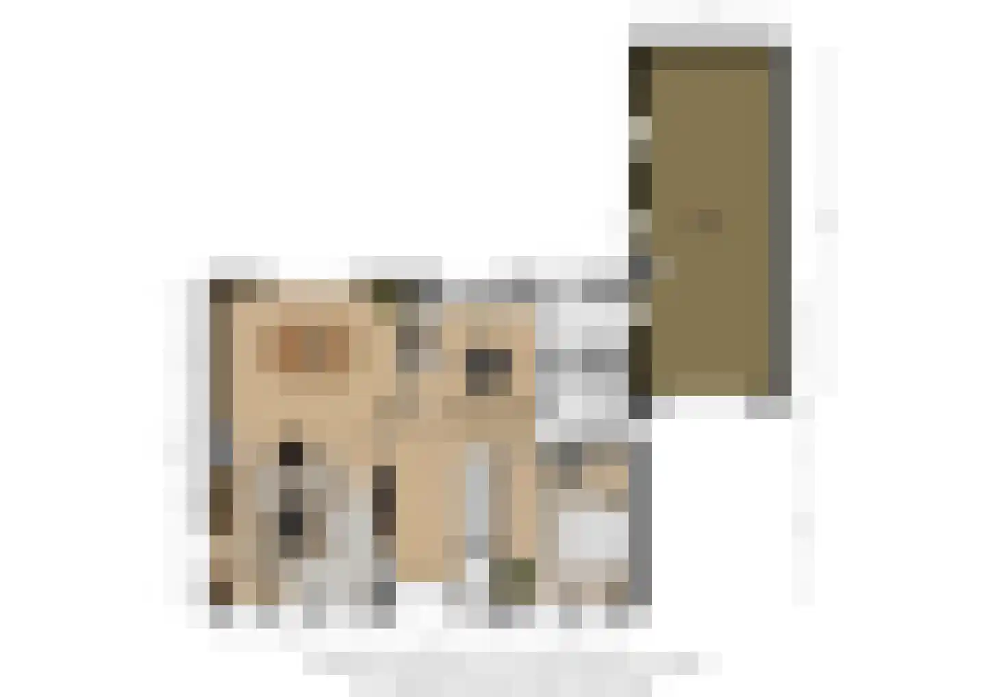 Wielerbaan 18 Oudenbosch thumbnail 32
