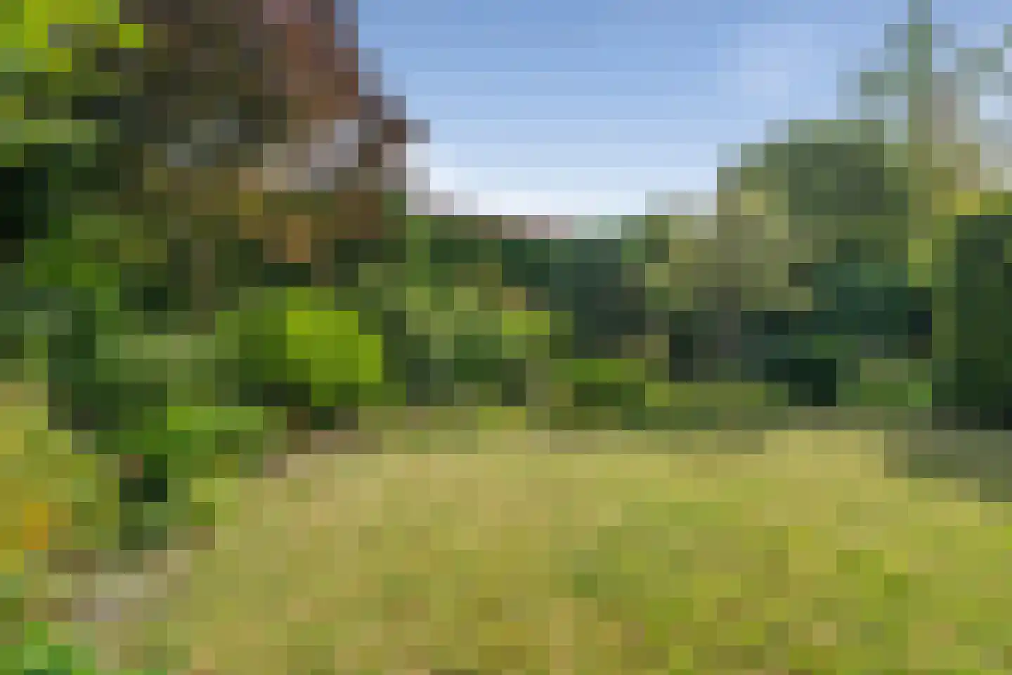 Wielerbaan 18 Oudenbosch thumbnail 5