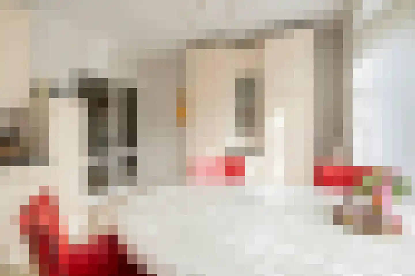 Wielerbaan 22 Oudenbosch thumbnail 13