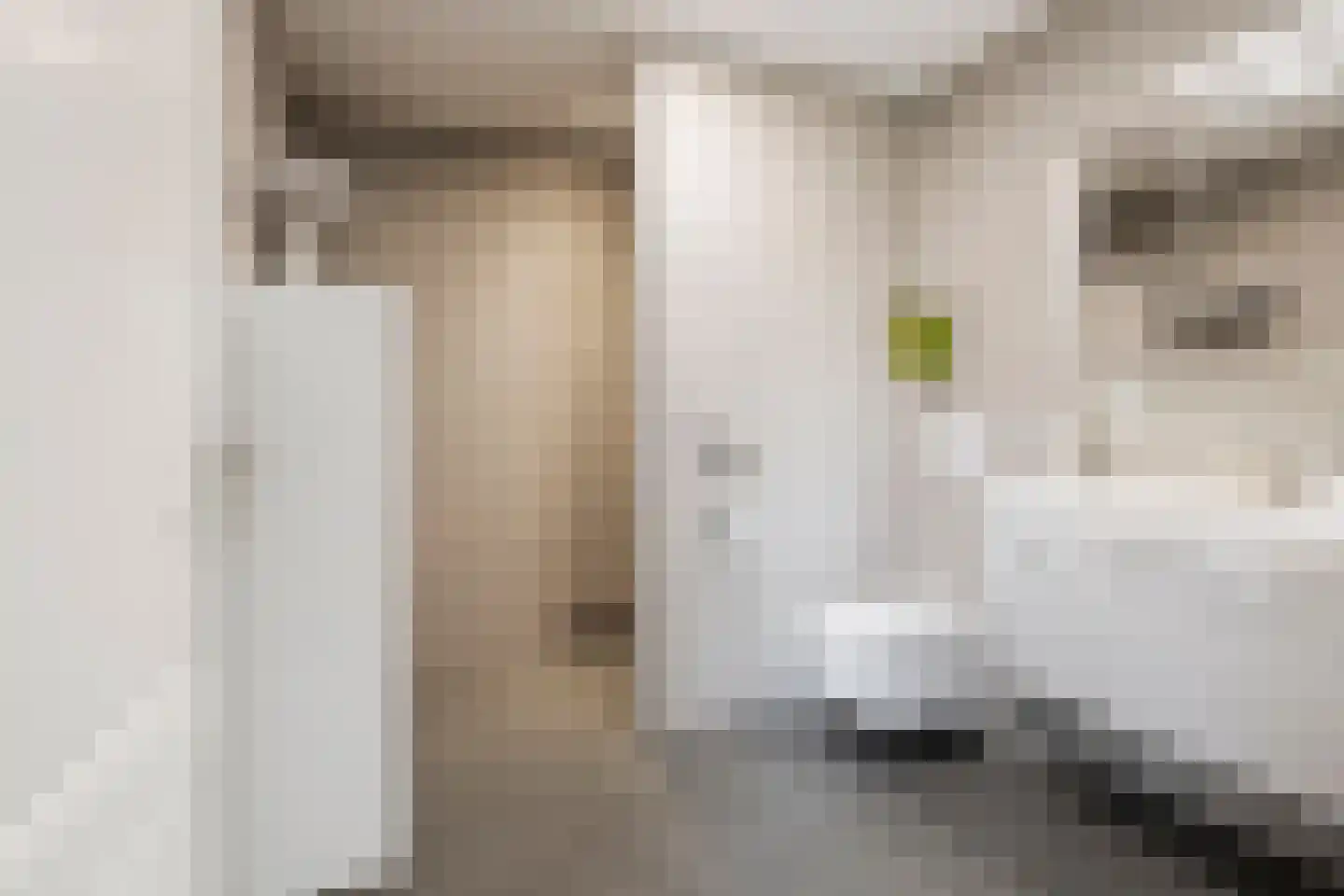 Wielerbaan 22 Oudenbosch thumbnail 16