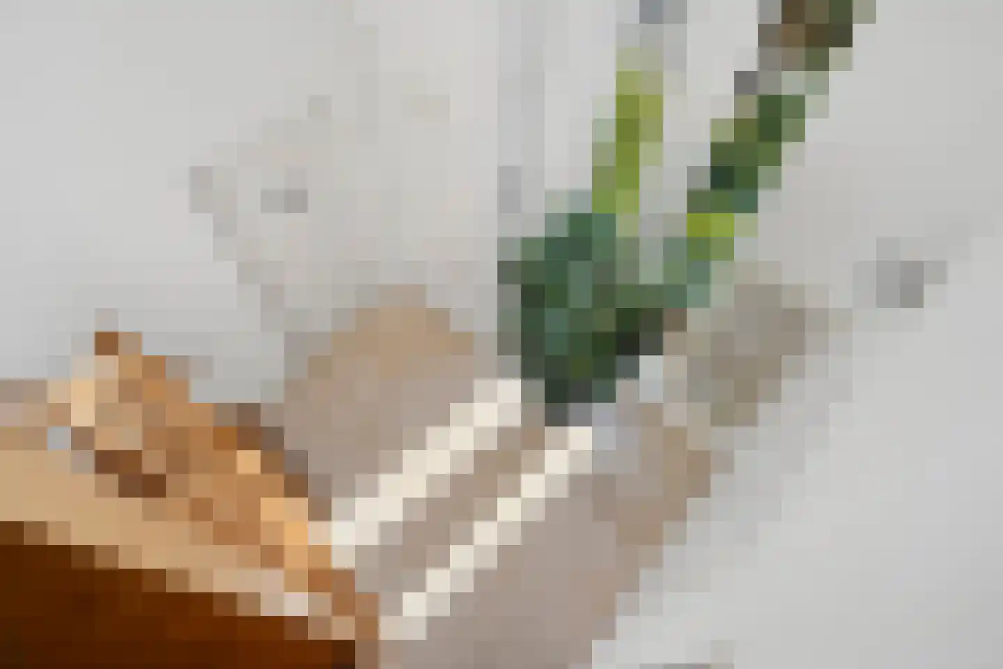 Wielerbaan 22 Oudenbosch thumbnail 21