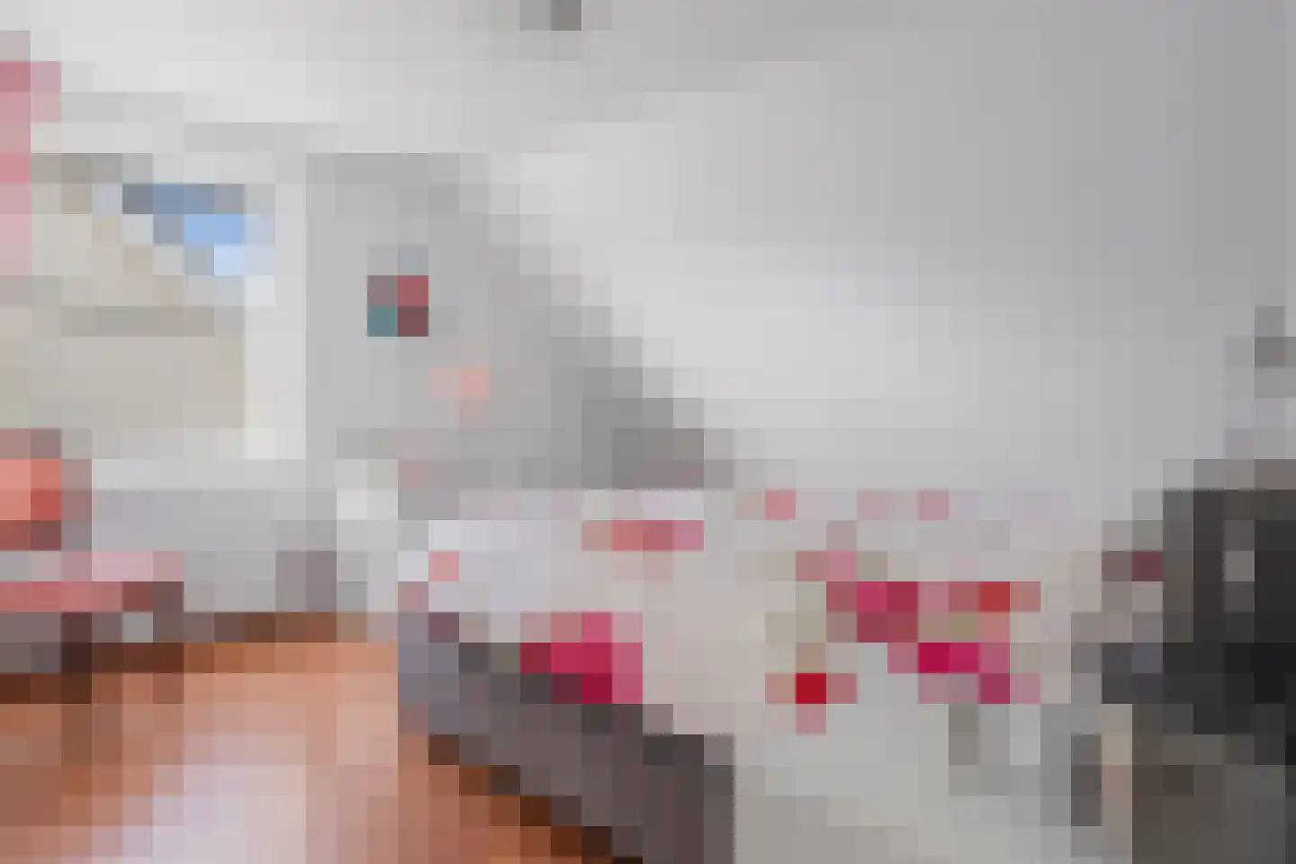 Wielerbaan 22 Oudenbosch thumbnail 22
