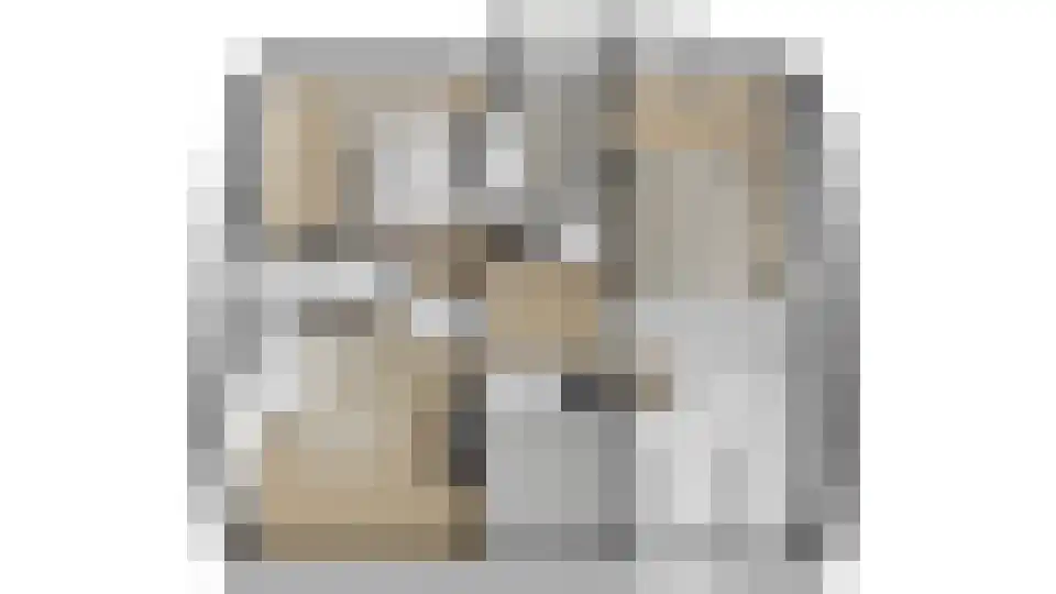 Wielerbaan 22 Oudenbosch thumbnail 38