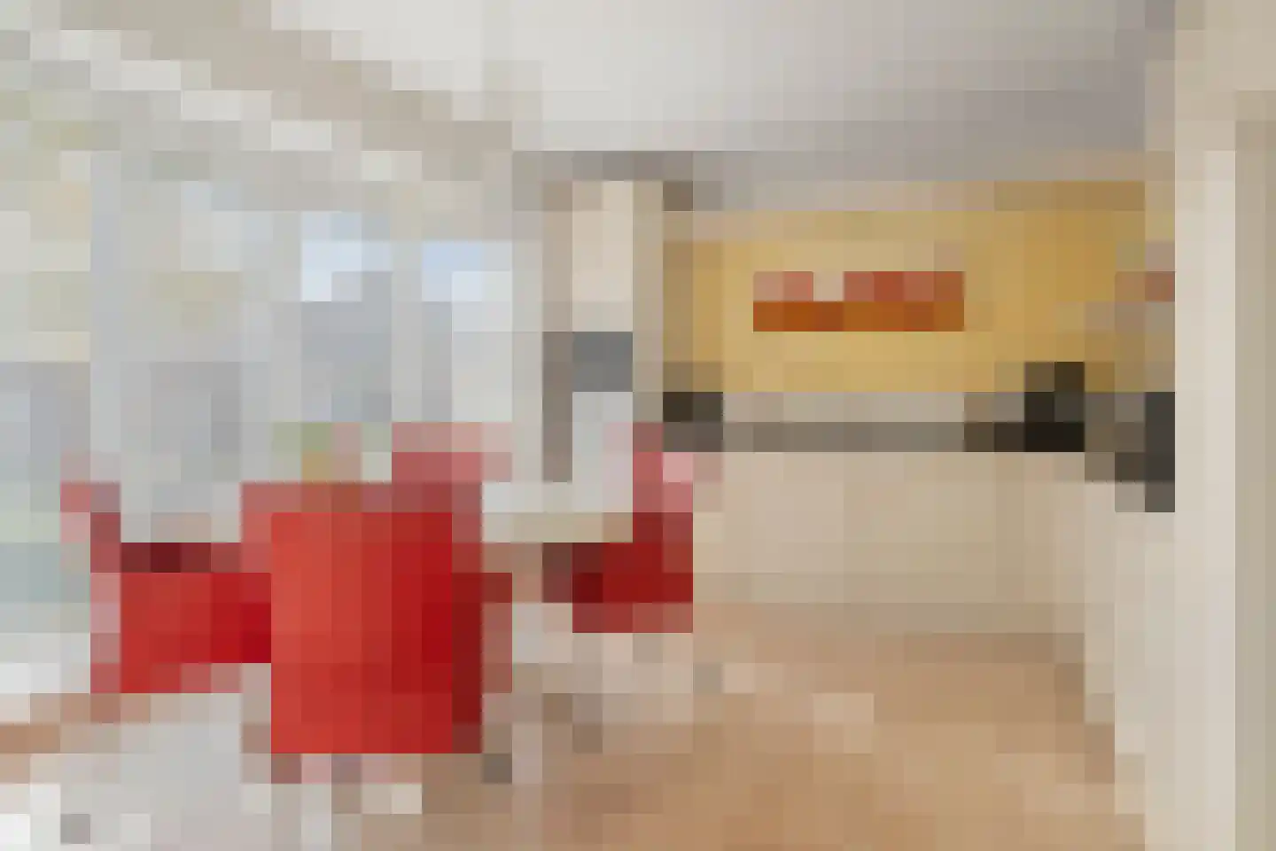 Wielerbaan 22 Oudenbosch thumbnail 4