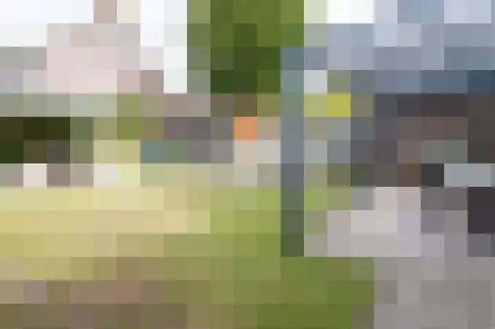 Wielerveldweg 1 Afferden L thumbnail 22
