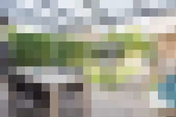 Wielerveldweg 1 Afferden L thumbnail 24