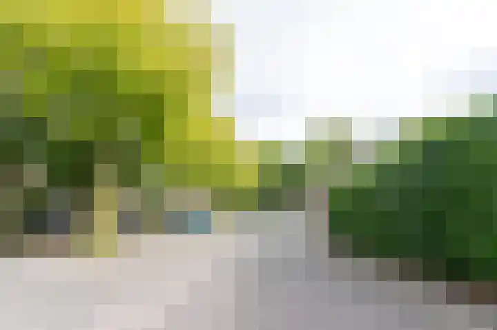 Wielerveldweg 1 Afferden L thumbnail 30