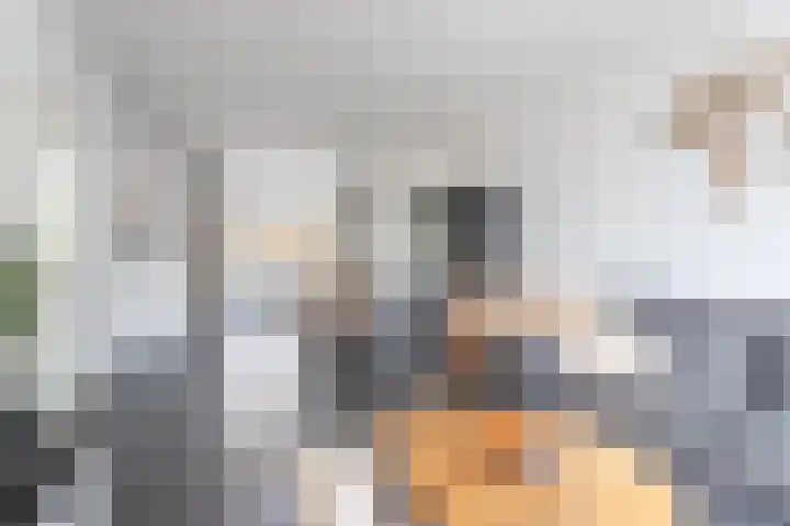 Wielerveldweg 1 Afferden L thumbnail 8