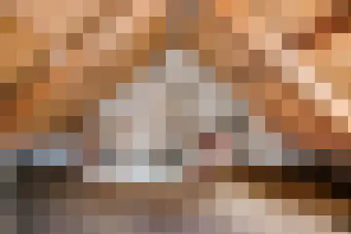 Wielerveldweg 4 Afferden L thumbnail 28