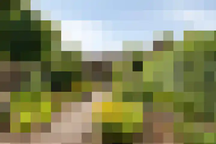 Wielerveldweg 4 Afferden L thumbnail 34