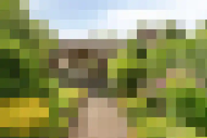 Wielerveldweg 4 Afferden L thumbnail 35