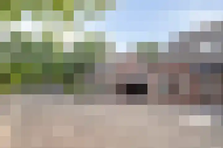 Wielerveldweg 4 Afferden L thumbnail 38