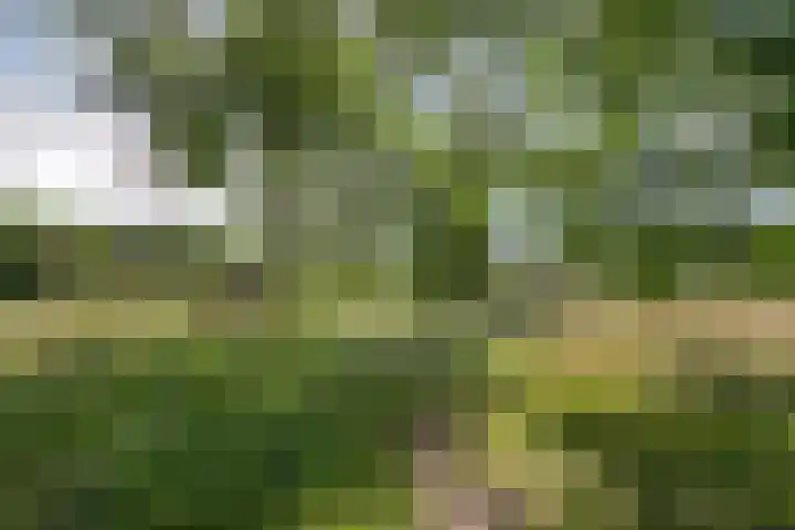 Wielerveldweg 4 Afferden L thumbnail 39