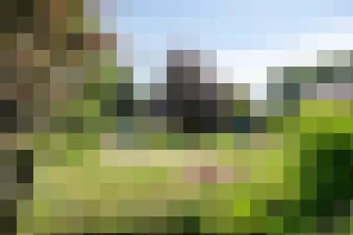 Wielerveldweg 4 Afferden L thumbnail 40
