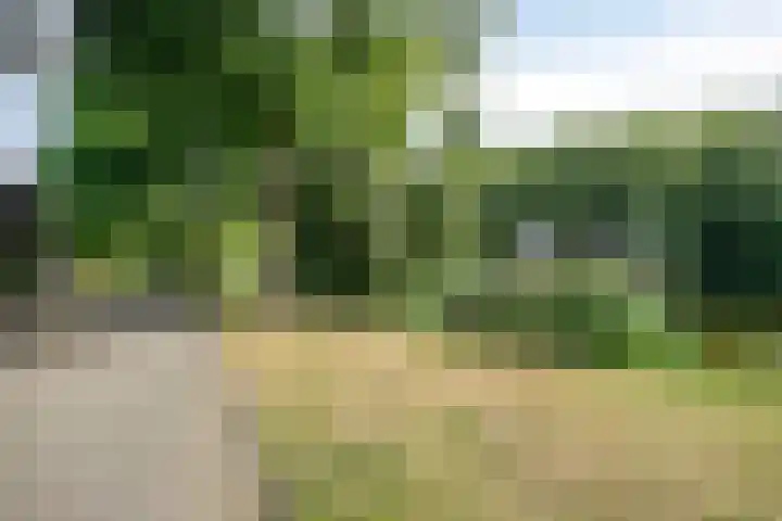 Wielerveldweg 4 Afferden L thumbnail 41
