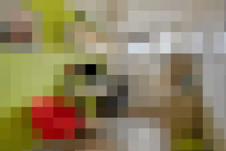 Wielestein 23 Nieuw-Vennep thumbnail 29