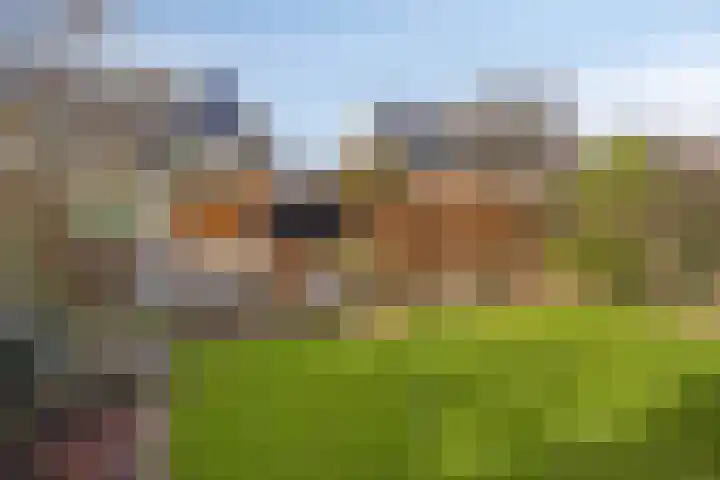 Wielestein 23 Nieuw-Vennep thumbnail 37