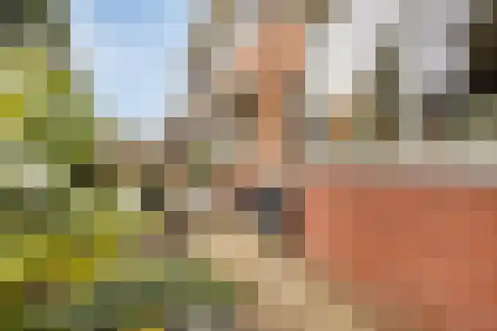 Wielestein 23 Nieuw-Vennep thumbnail 7