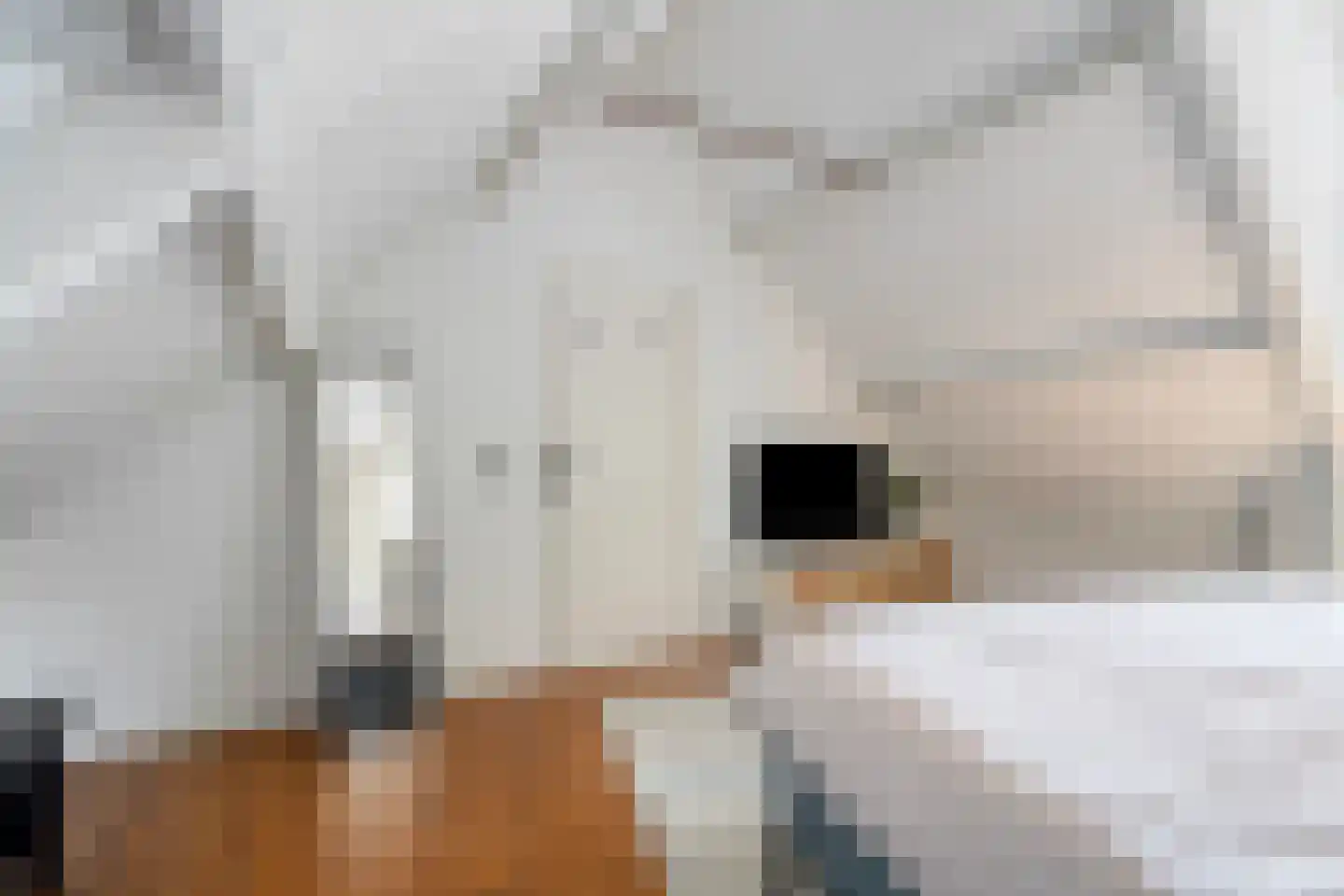 Wielewaal 1 Deventer thumbnail 26