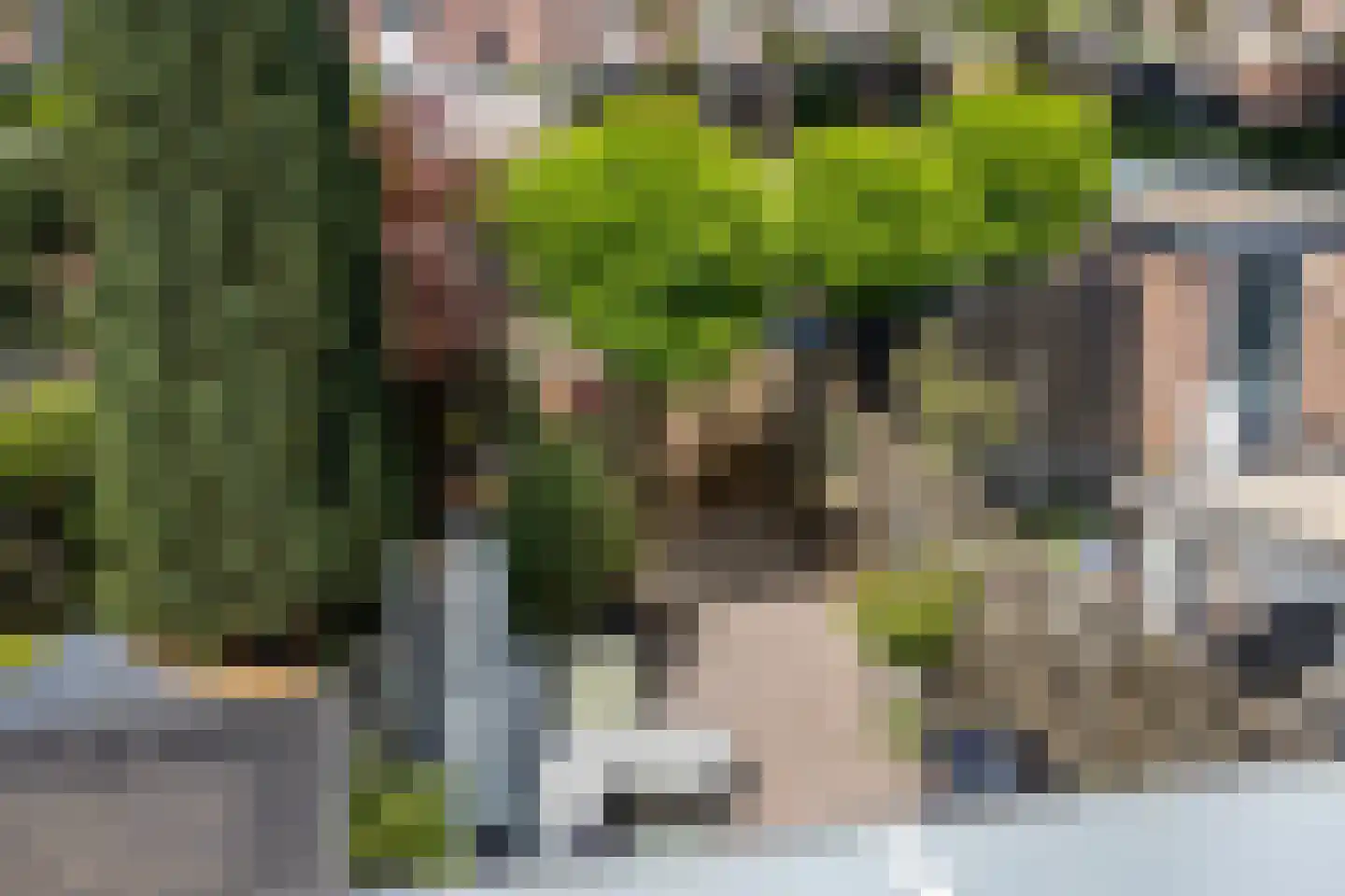 Wielewaal 1 Deventer thumbnail 27