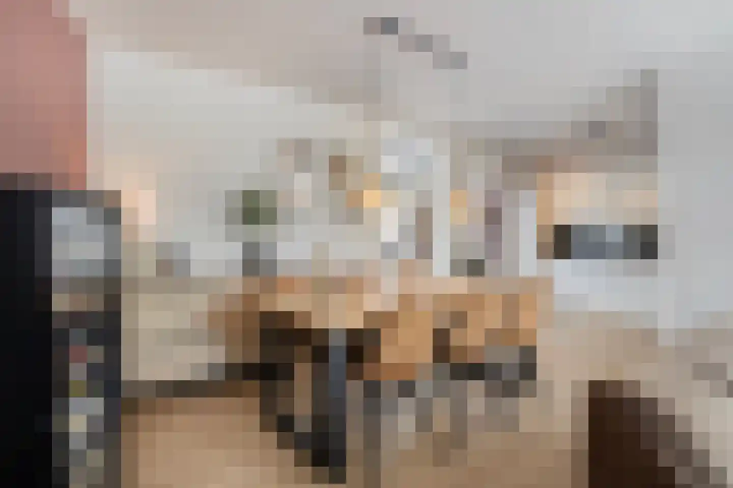 Wielewaal 1 Deventer thumbnail 5