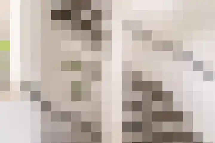 Wielewaal 1 Zeewolde thumbnail 21