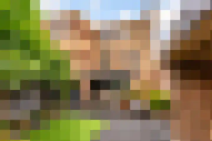 Wielewaal 1 Zeewolde thumbnail 38