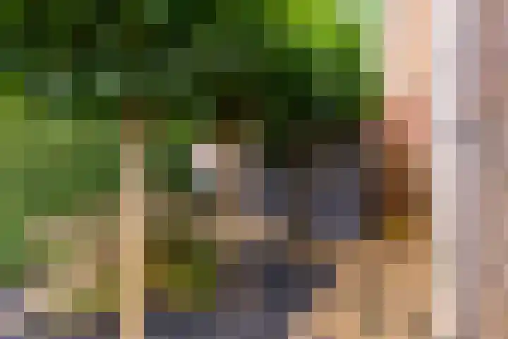 Wielewaal 1 Zeewolde thumbnail 4