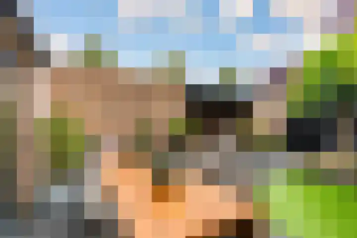 Wielewaal 1 Zeewolde thumbnail 41