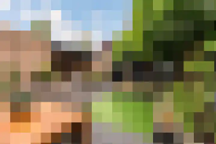 Wielewaal 1 Zeewolde thumbnail 42