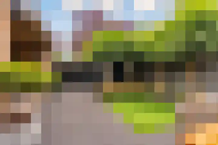 Wielewaal 1 Zeewolde thumbnail 44