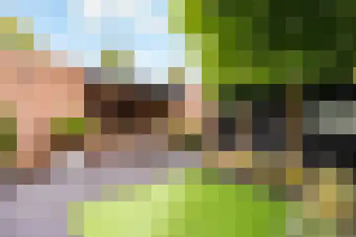 Wielewaal 1 Zeewolde thumbnail 45
