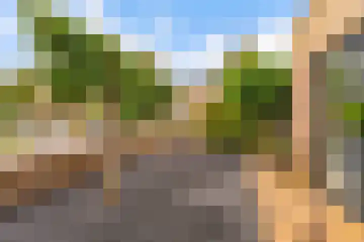 Wielewaal 1 Zeewolde thumbnail 5