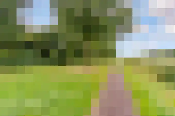 Wielewaal 1 Zeewolde thumbnail 51
