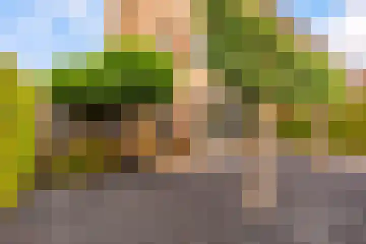 Wielewaal 1 Zeewolde thumbnail 52