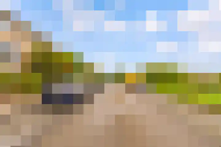 Wielewaal 1 Zeewolde thumbnail 53