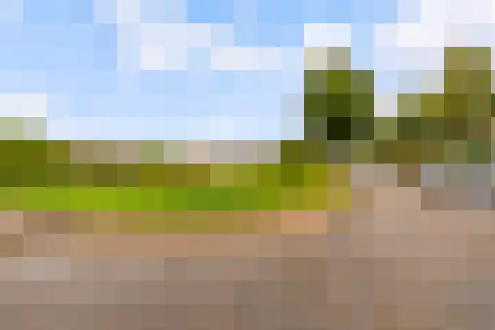Wielewaal 1 Zeewolde thumbnail 54
