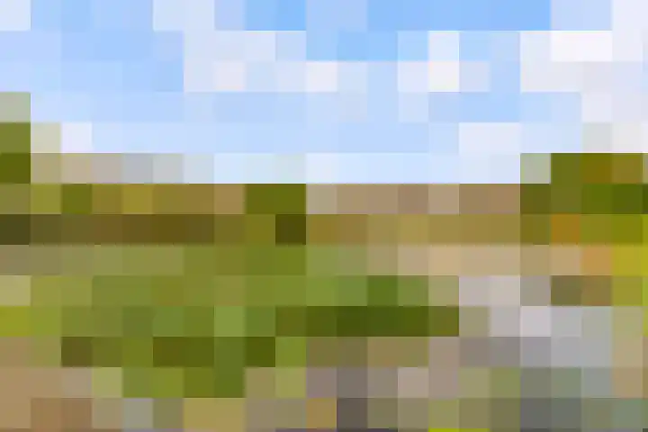 Wielewaal 1 Zeewolde thumbnail 55