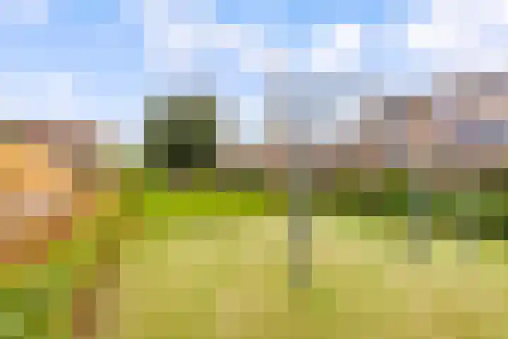 Wielewaal 1 Zeewolde thumbnail 56