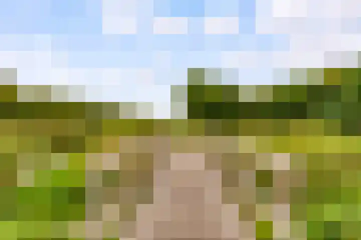Wielewaal 1 Zeewolde thumbnail 57