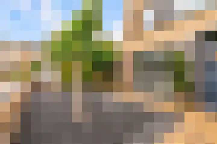 Wielewaal 1 Zeewolde thumbnail 6