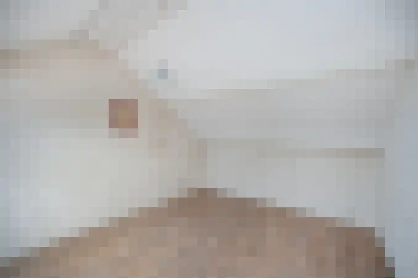 Wielewaal 11 Bodegraven thumbnail 42