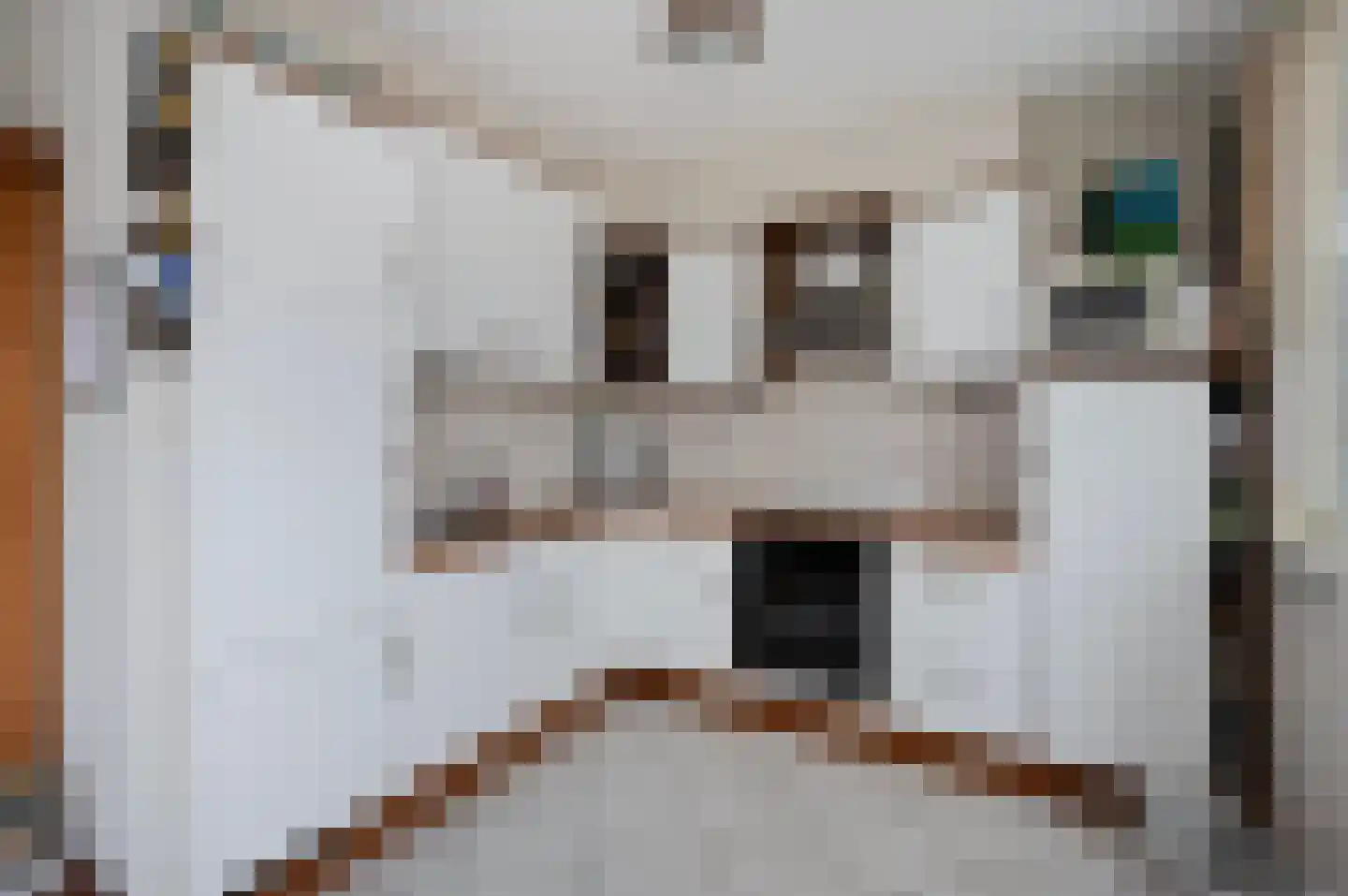 Wielewaal 11 Bodegraven thumbnail 6