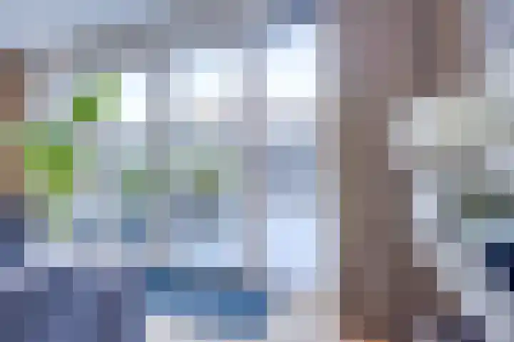 Wielewaal 11 Hoogkarspel thumbnail 13